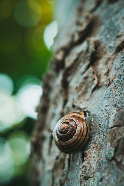 the snail and the whale pdf