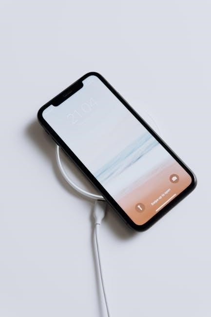 ctek charger manual
