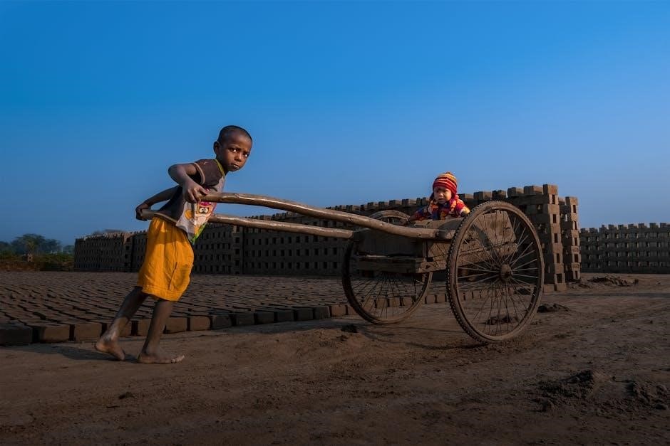 manual for brother mfc l2700dw